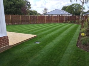 perfect lawn for a residential client