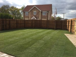 freshly laid lawn at a residential garden