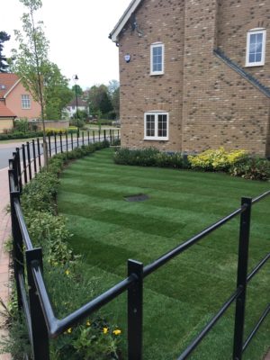 brand new residential lawn