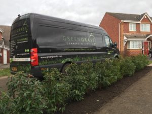 green gardener van parked behind a lawn