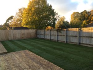 finished brand new lawn