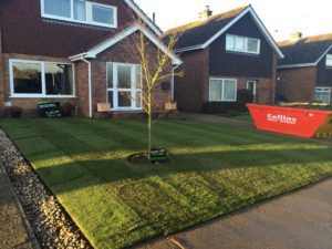 new grass laid in house front garden with young tree