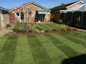 two new lawns laid at the back of a house