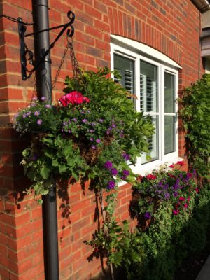 beautiful hanging basket overflowing with flowers
