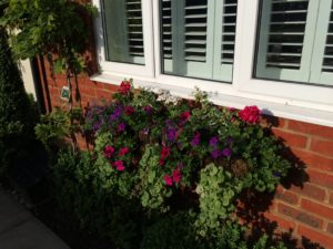 under window basket flowing with flowers and plants