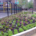 Commercial Garden Landscape Design in Ipswich & Colchester