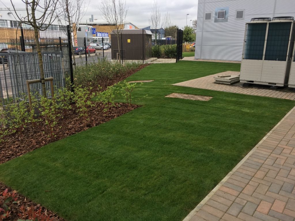 green lawn for a commercial property