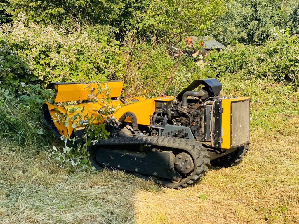 garden waste clearance
