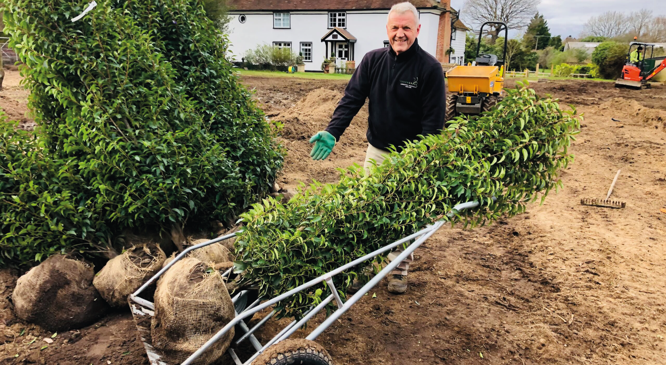 Replacement Hedge by Greengrass