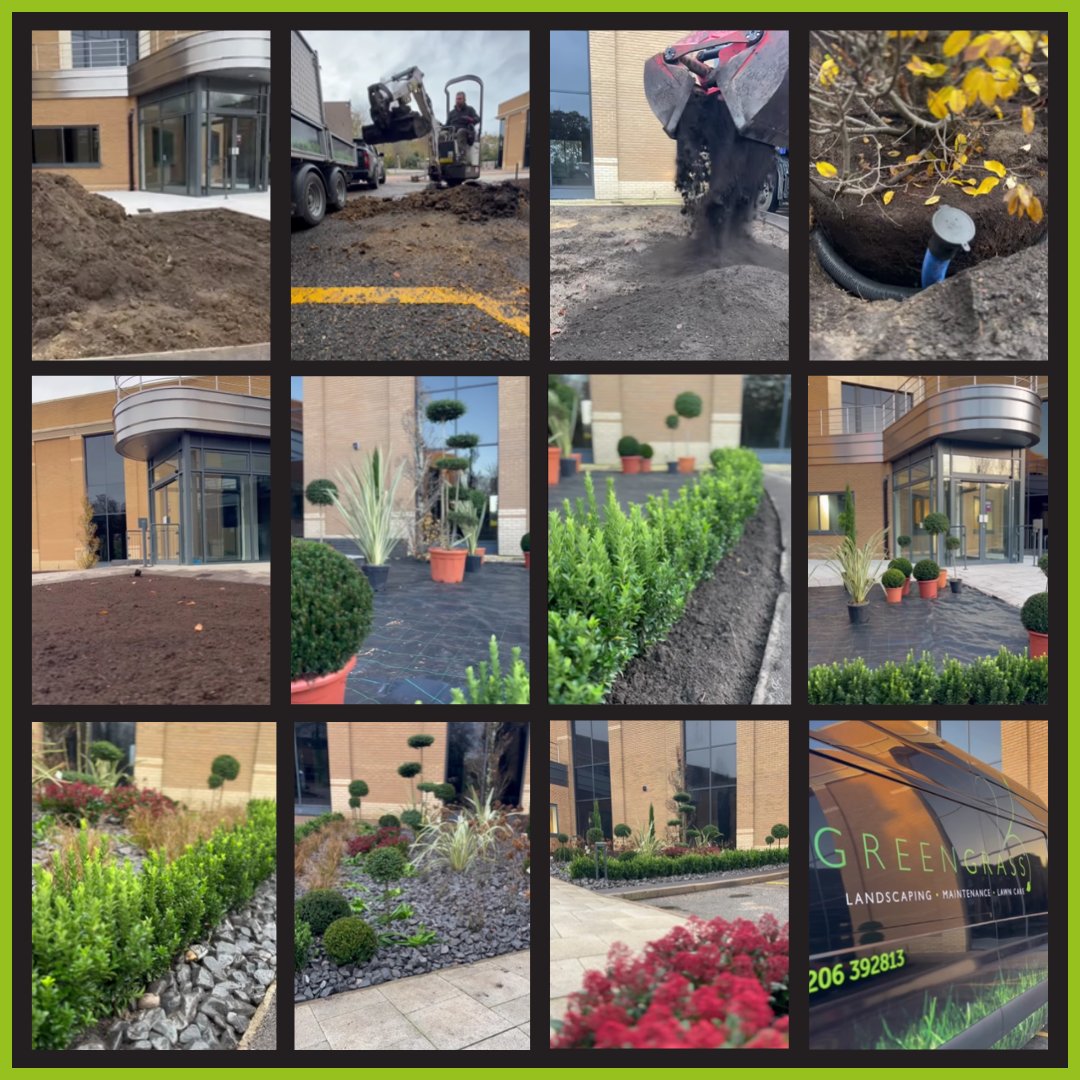 Commercial Soft Landscaping Project at an office complex in Colchester. 
