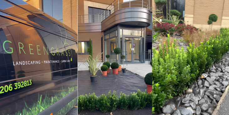 Greengrass Soft Landscaping transformation for office complex in Colchester, Essex
