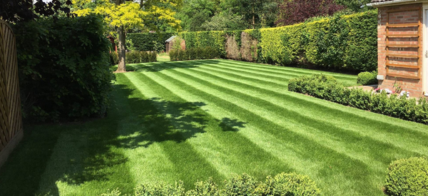 Lawn treatment Essex and Suffolk, seasonal treatment programme