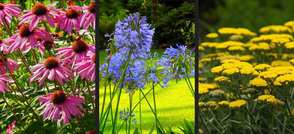 Planting recommendations for 2027