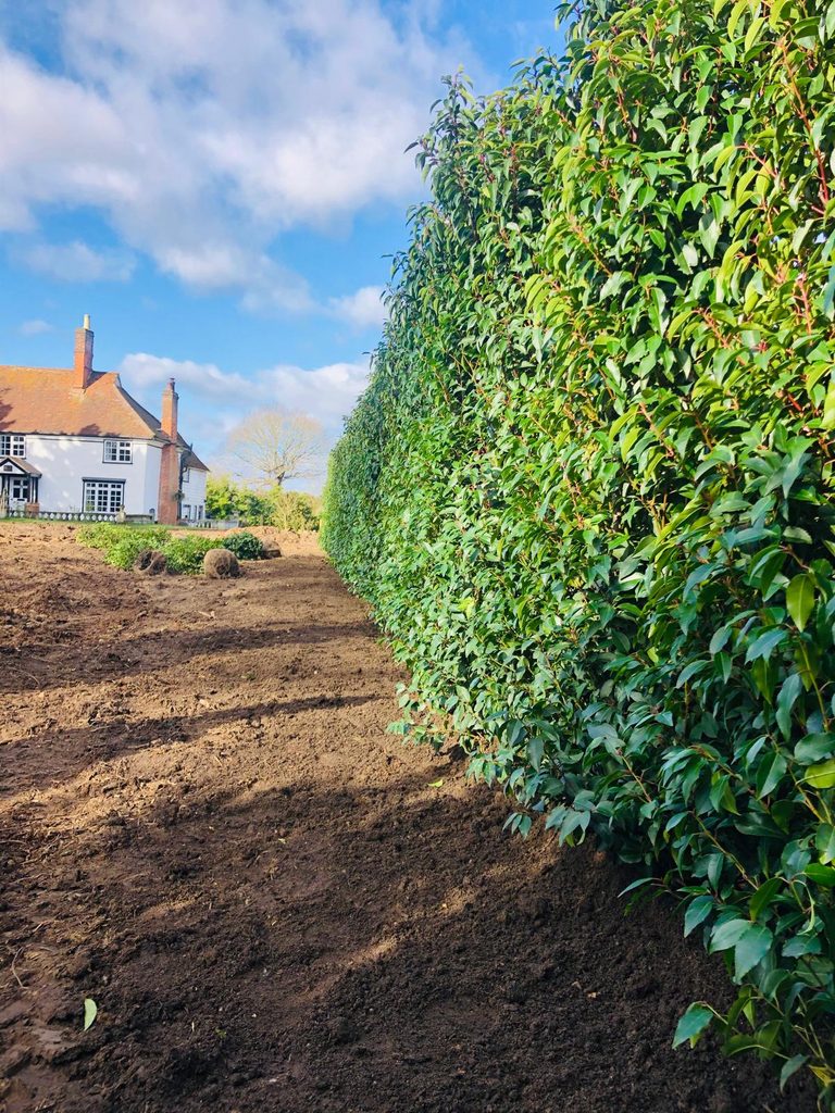 Hedging installed by Greengrass