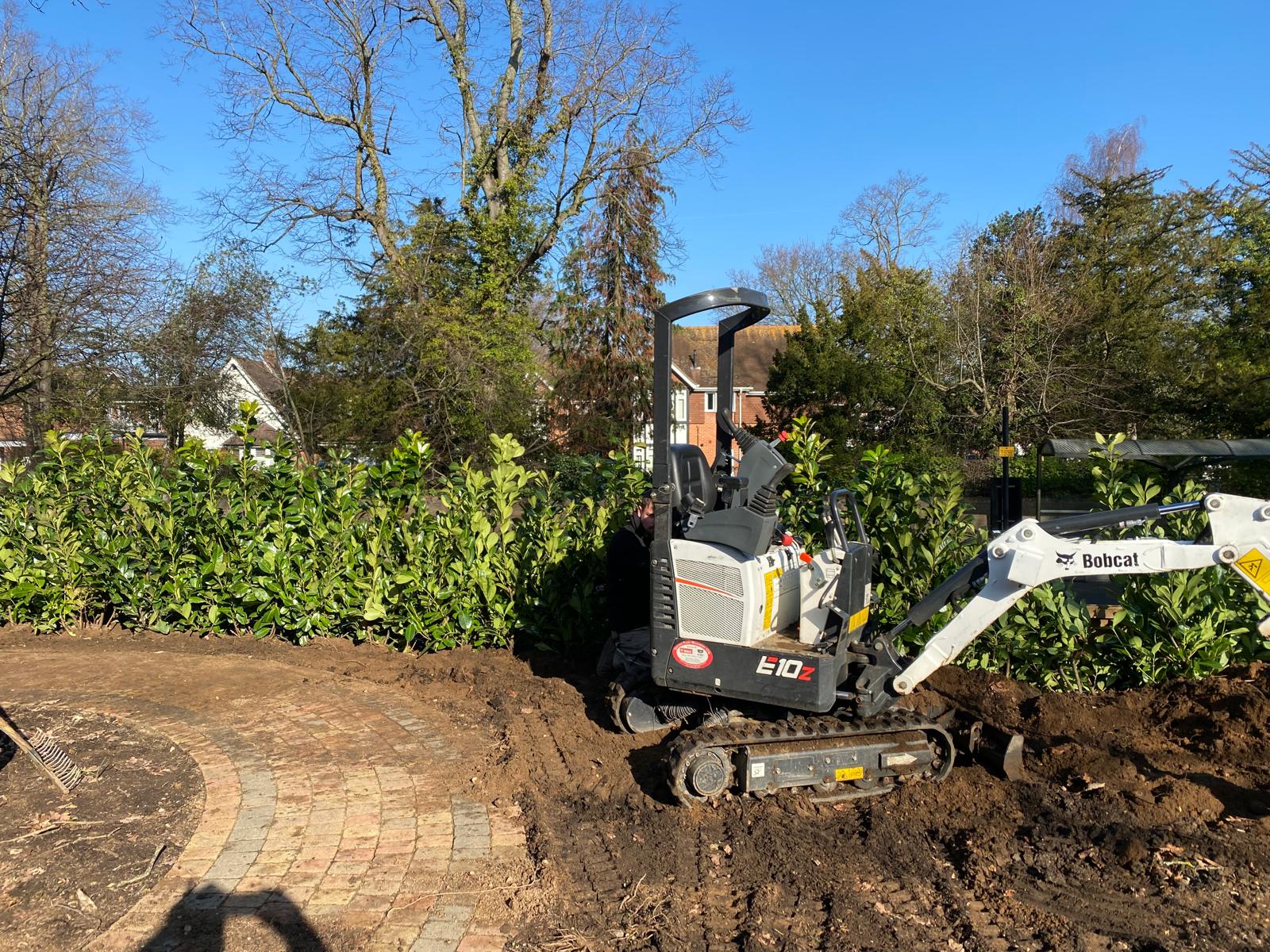 When to plant and trim a hedge